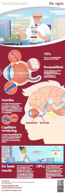 Infographic preview