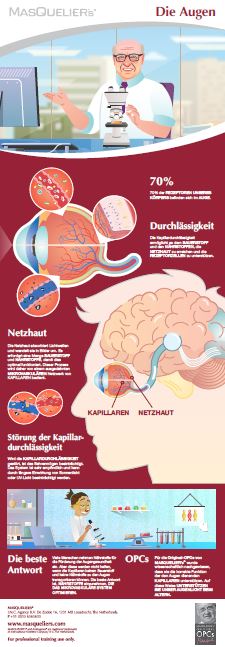 Infographic preview