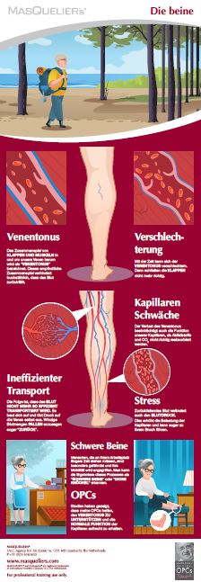 Infographic preview