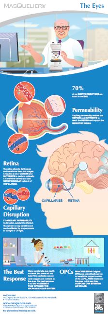 Infographic preview