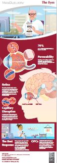 Infographic preview