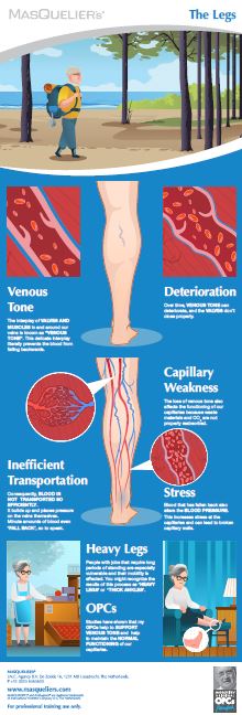 Infographic preview