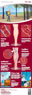 Infographic preview