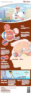 Infographic preview