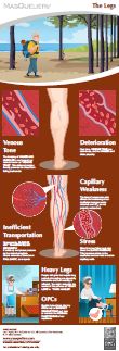 Infographic preview