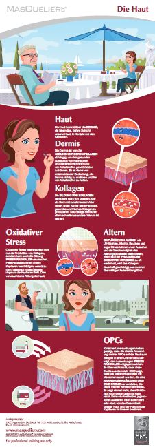 Infographic preview