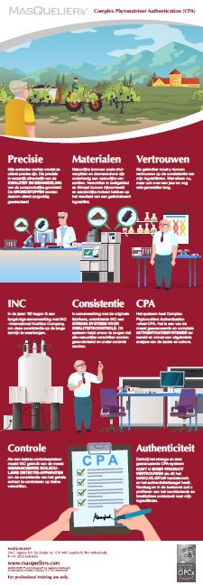Infographic preview