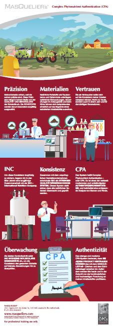 Infographic preview