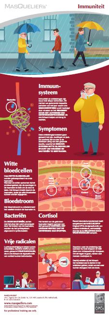 Infographic preview