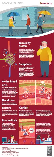 Infographic preview