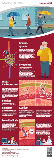 Infographic preview