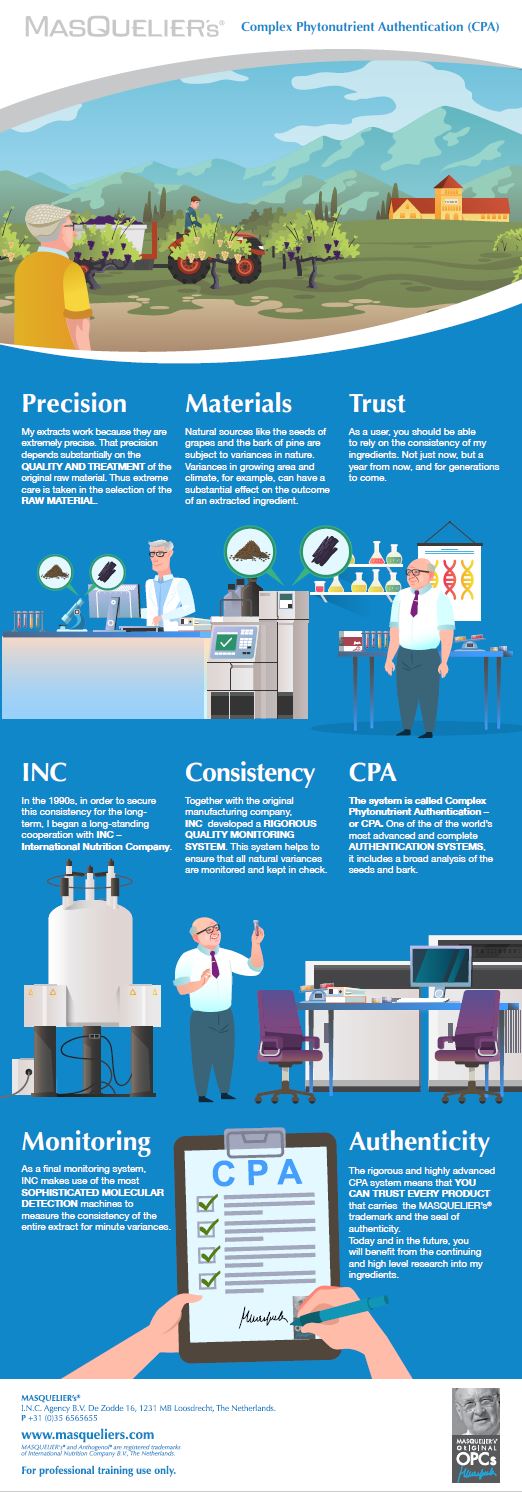 Infographic preview