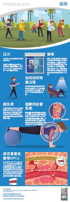 Infographic preview