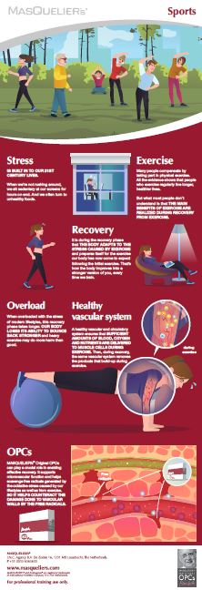 Infographic preview
