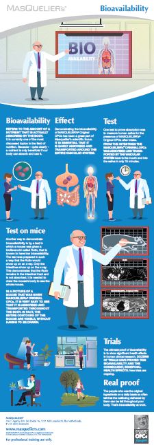 Infographic preview