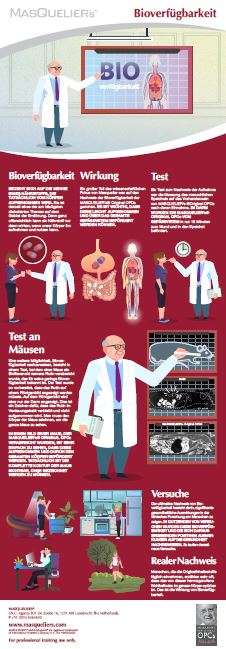 Infographic preview