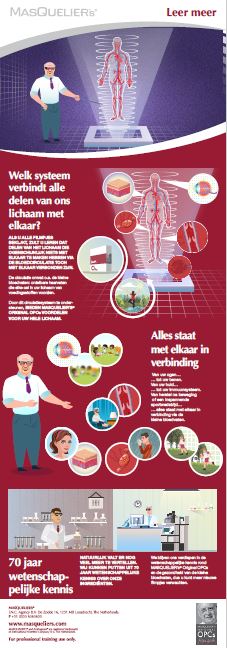 Infographic preview