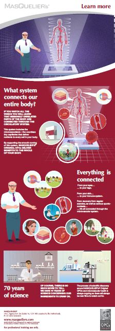 Infographic preview
